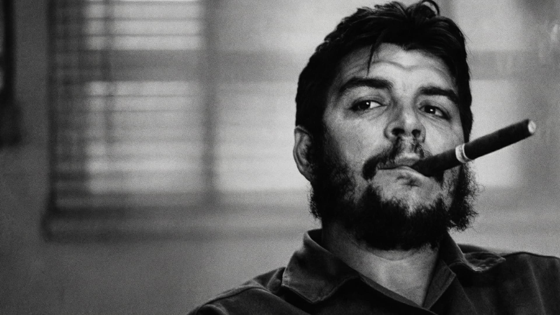 Че Гевара. Я жив и жажду крови