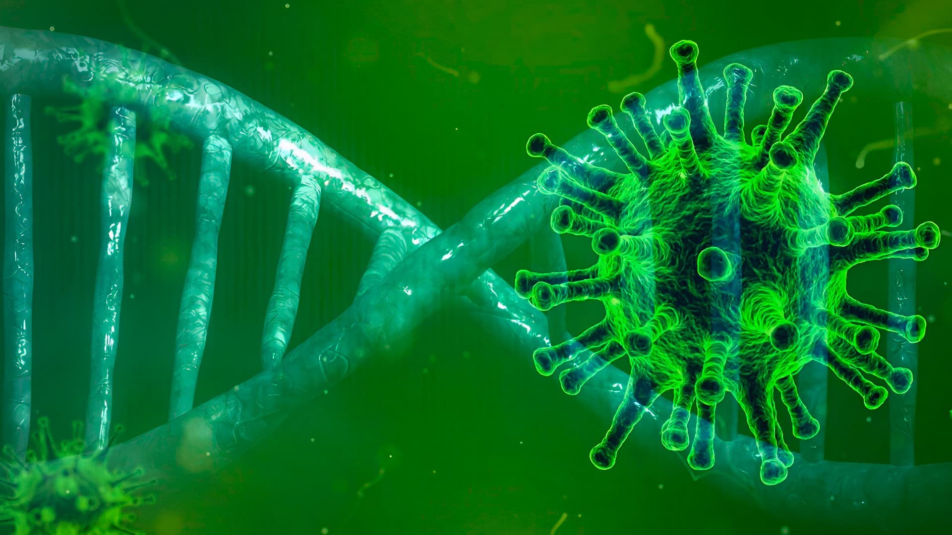 Коронавирус. Все, что нужно знать