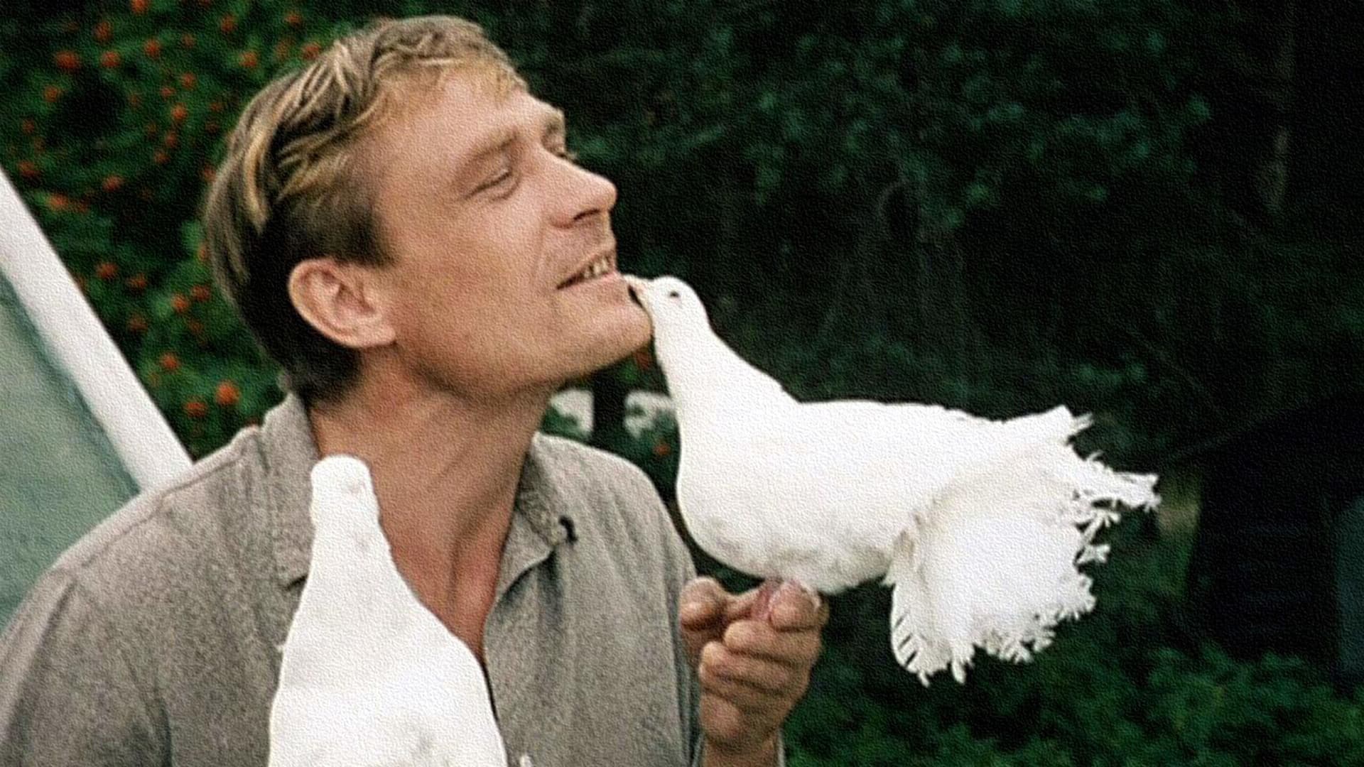 Александр Михайлов. Кино, любовь и голуби