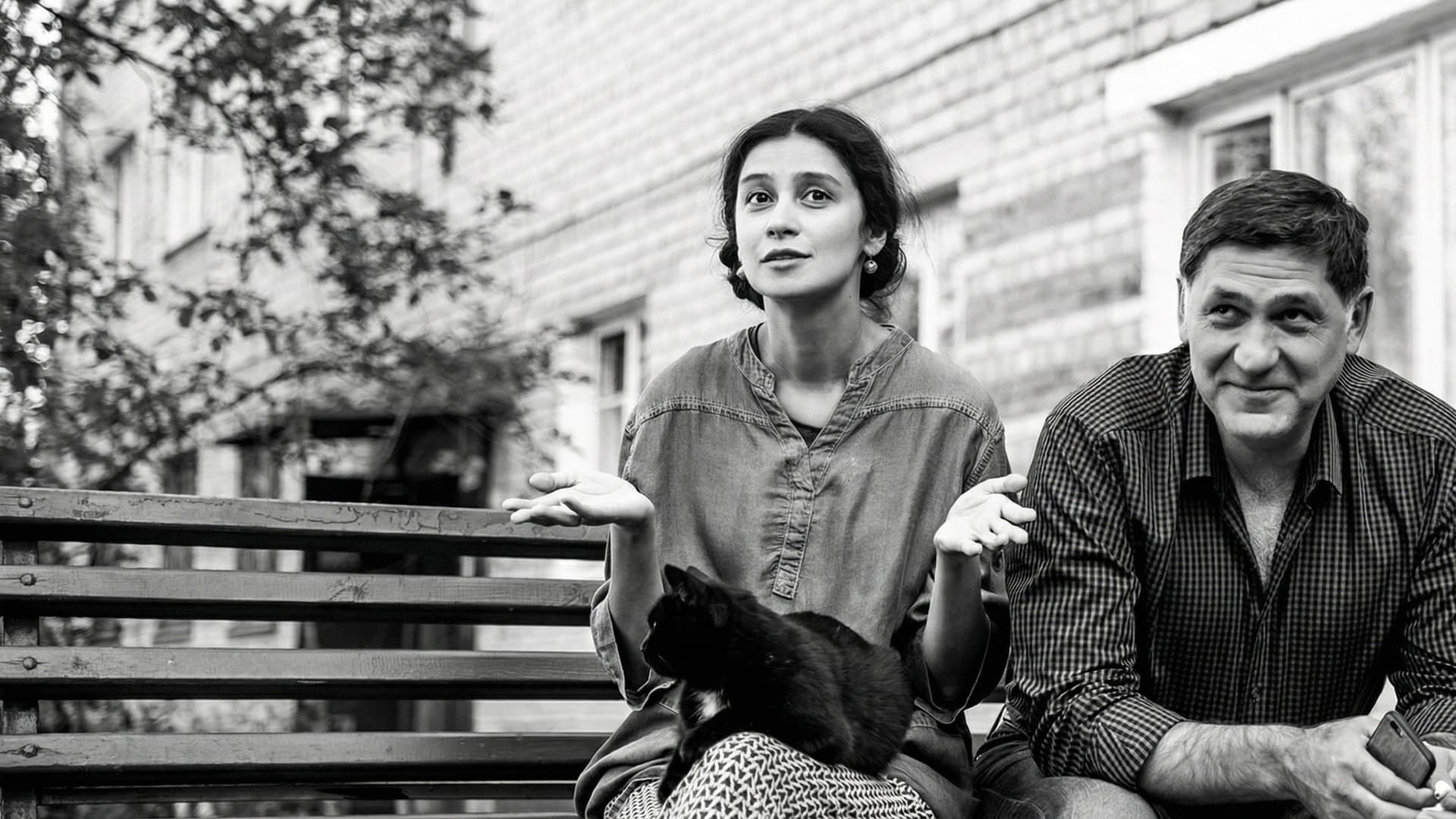 А у нас во дворе… Прерванный сезон